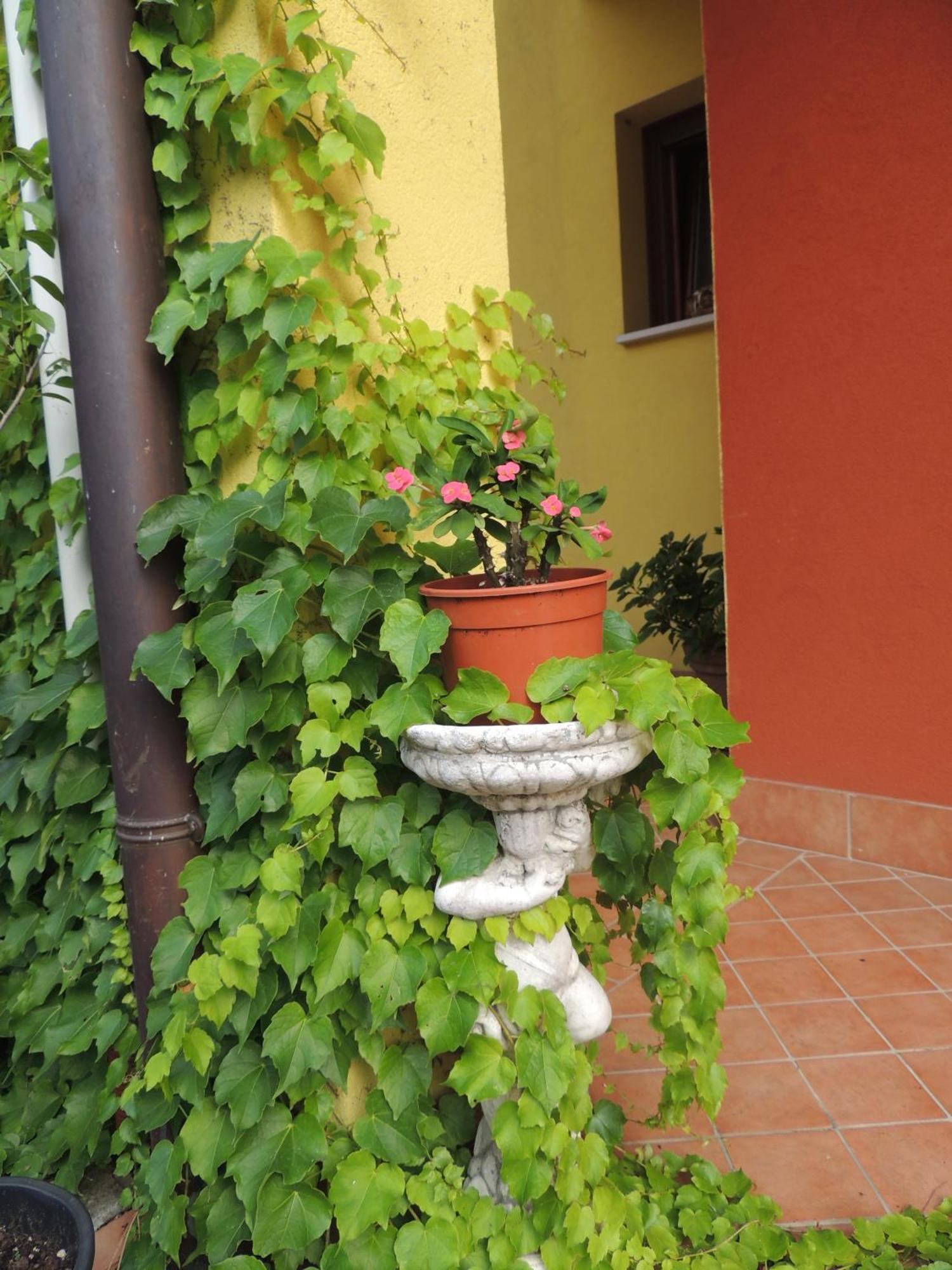 Resort Sile River Canton (Treviso) Exterior foto